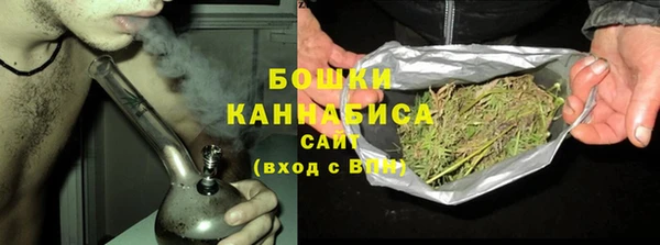 гашик Ладушкин