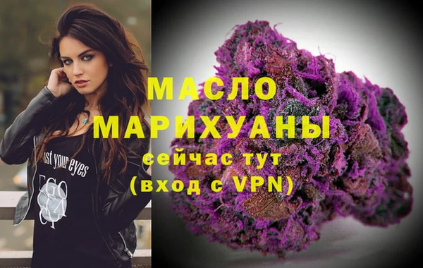 гашик Ладушкин