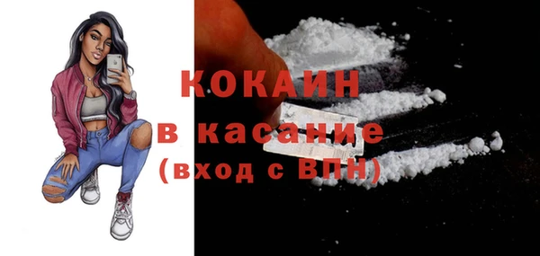 гашик Ладушкин