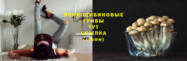гидропоника Лабытнанги