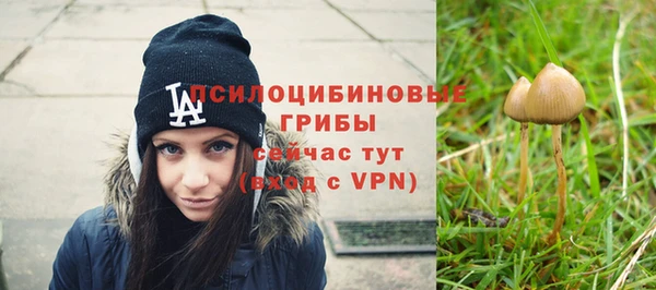 гашик Ладушкин