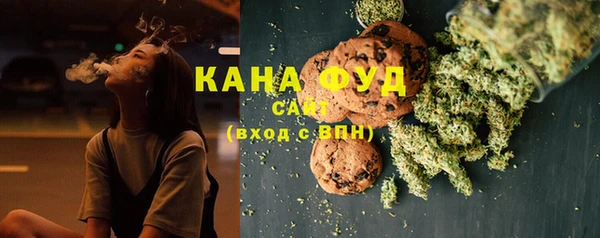 гашик Ладушкин